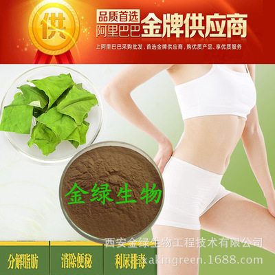苦瓜提取物 一线强企直供，开启减肥降脂新篇章
